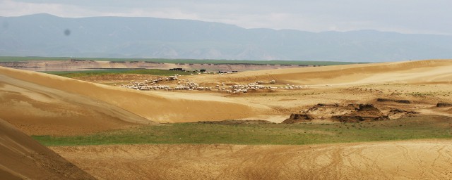 退化草地的恢復 草地植被恢復與重建方法