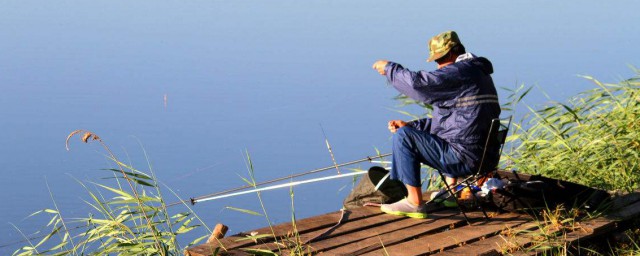 東莞水道魚可以吃不 什麼地方的魚不能釣來吃