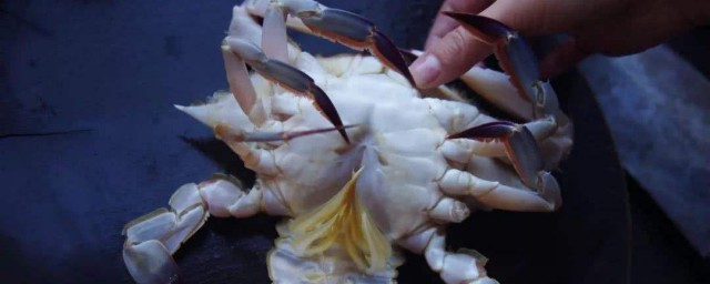 潮汕螃蟹怎麼處理 潮汕醃花蟹的做法