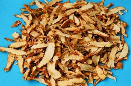 幫你瞭解知母的一些藥用情況