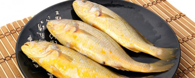 魚皮黃色有什麼魚 皮黃色有哪些魚