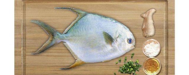 黃立倉魚怎麼釣 最好用什麼桿