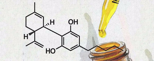 cbd油的作用 cbd是什麼