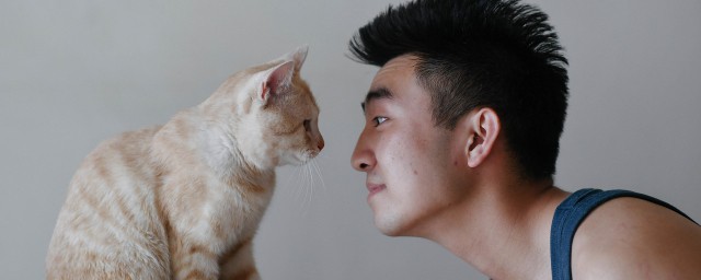 為什麼禁止男生養貓 為什麼男人不能養貓