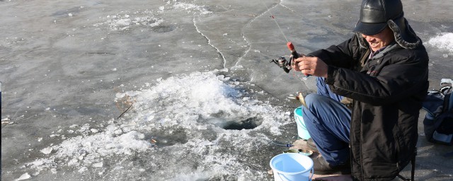 冬季釣羅非魚方法 冬季釣羅非魚的技巧