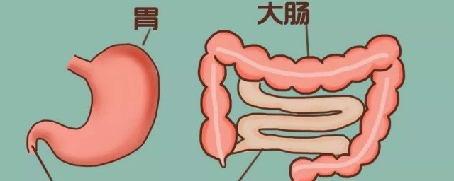腸道不健康有六個表現 腸道不健康的主要六大表現