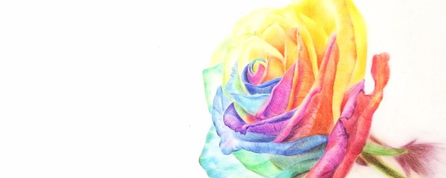 彩鉛玫瑰畫法 彩鉛七彩玫瑰的畫法