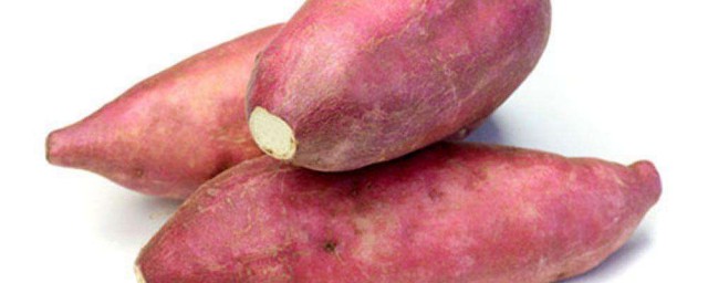 中國最高產紅薯品種 給大傢介紹三種
