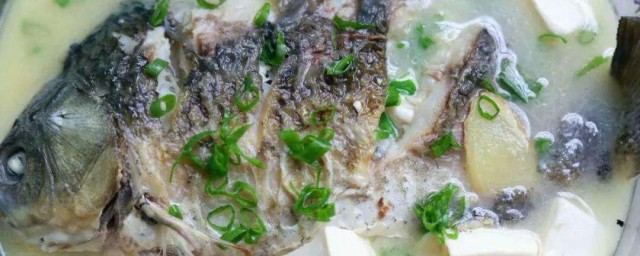 鯉魚鮮湯做法 湯色濃白味道鮮美