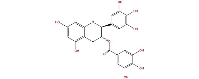 兒茶素的功效與作用 兒茶素是什麼