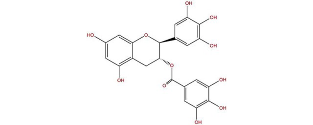 兒茶素的功效與作用 兒茶素是什麼