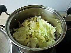 韓式拌白菜