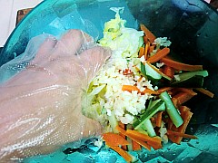 韓式拌白菜