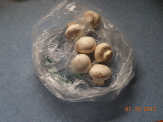 培根蘑菇意面