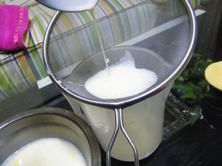 原味乳酪蛋撻