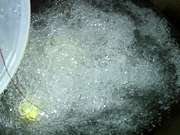 鮮蝦火腿培根批薩