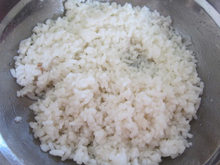 雜錦芝士焗飯