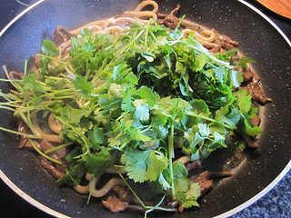 牛肉香菜炒烏冬