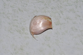 油漬番茄