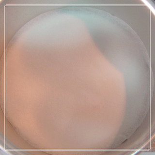 抹茶慕斯蛋糕