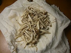 白玉菇牛肉披薩