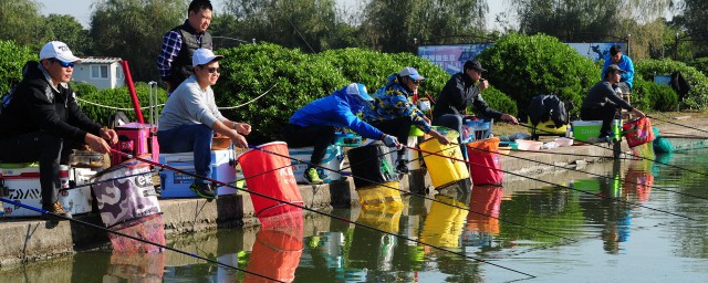 晚上15度左右能釣鰱鳙嗎 垂釣鰱鳙的溫度是多少