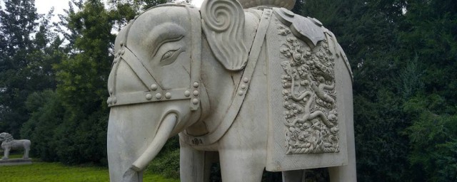 公母大象怎樣擺放 象征什麼