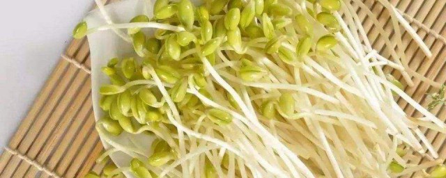 用醋快速生豆芽的方法 怎麼操作