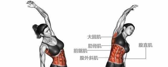 二頭肌怎麼拉伸 二頭肌的拉伸方法