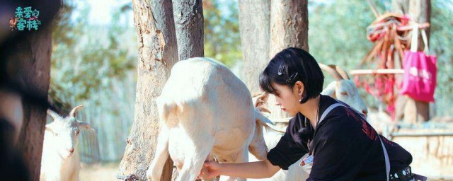 親愛的客棧3季什麼時候播 原來有這些嘉賓