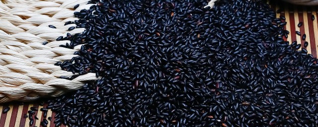黑香米和黑米有什麼區別嗎 有哪些區別