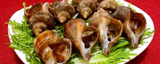 白灼海螺做法 不隻是簡單的水煮