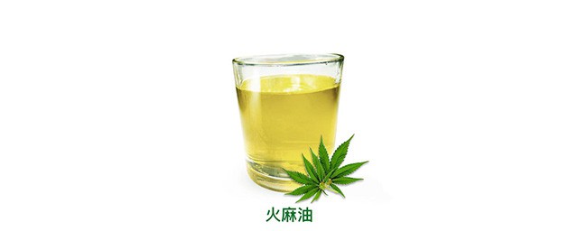 空腹喝火麻油的功效 點擊瞭解一下