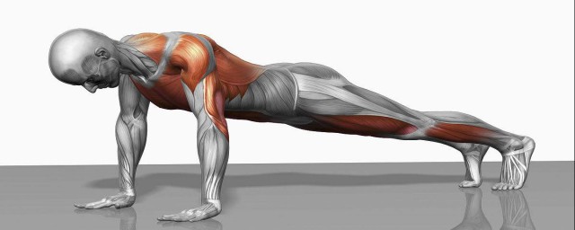 肱二頭肌拉伸方法 肱二頭肌拉伸的五種方法