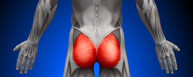 梨狀肌為什麼不能熱敷 梨狀肌不能熱敷嗎
