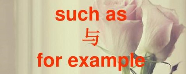 for example與such as的區別 不同英語詞組的用法