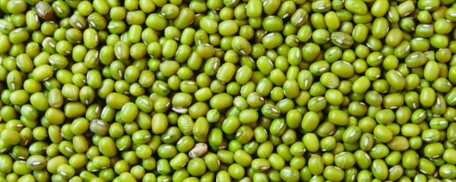 綠豆是涼性的嗎 如何儲存綠豆