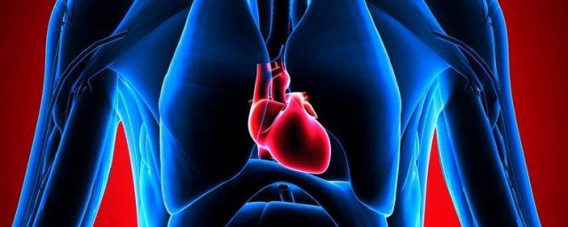 心臟積液是怎麼回事 為你講解什麼是心臟積水