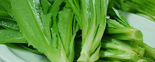 菜心的種植方法 有什麼需要註意的