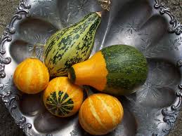 gourd