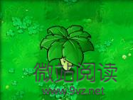 《植物大戰僵屍》葉子保護傘什麼用 葉子保護傘作用介紹