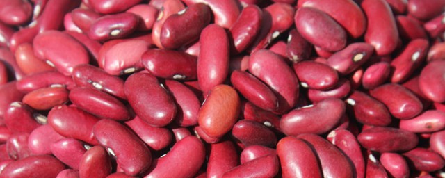 赤小豆與紅腰豆的區別 形態營養不同