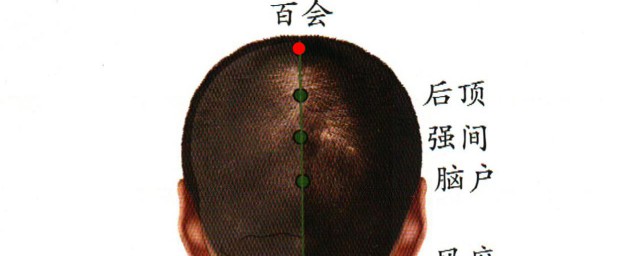 百會穴的準確位置圖和作用 此穴為督脈經絡上的重要穴道之一