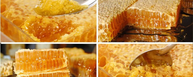 椴樹蜂蜜的功效與作用 不一樣的蜂蜜