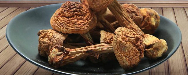 松茸菌的功效與作用及食用方法 松茸的功效和食用方法