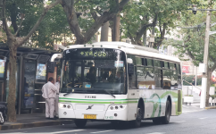 上海206路公交車路線