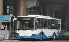 上海81路公交