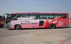 上海堡紅線公交