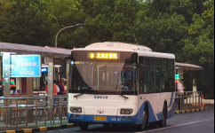 上海浦東79路原龍南定班線公交