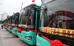 上海佘山度假區旅遊巴士停運公交